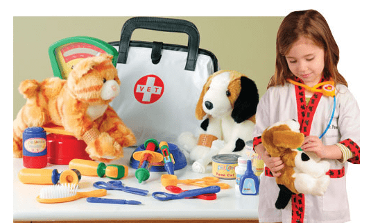 children's vet playset