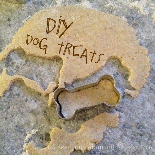DIY Dog Treats