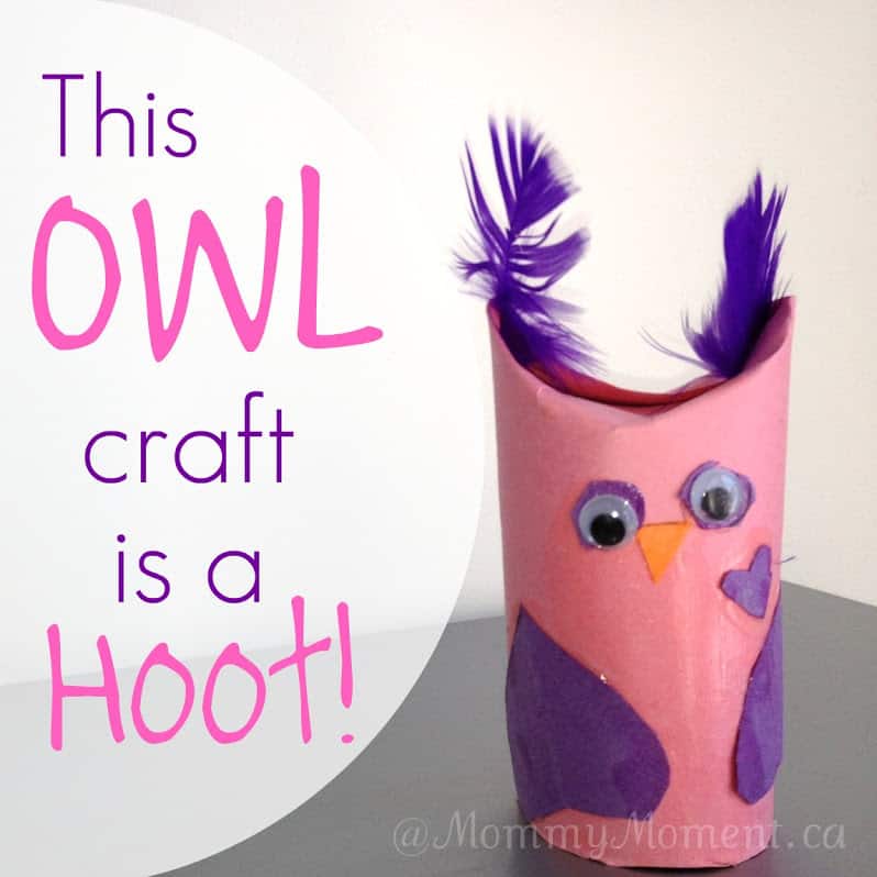owl craft