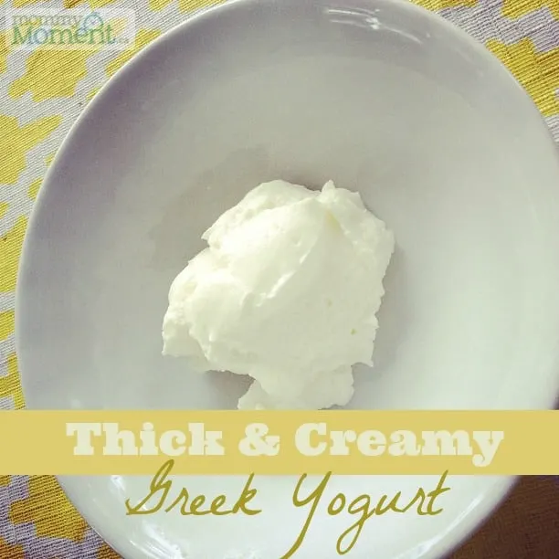 greek yogurt