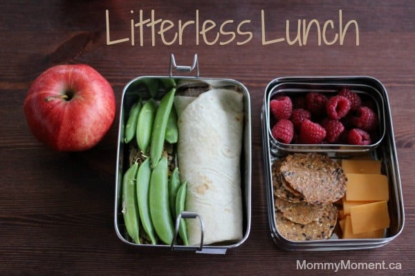 litter-less-lunch