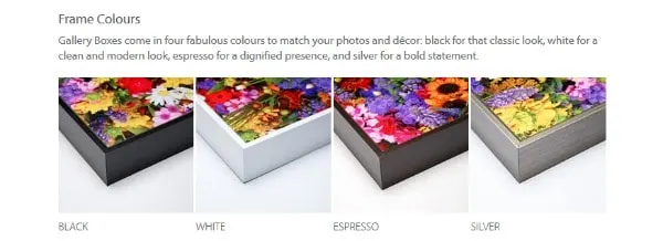 Gallery Box frame colors