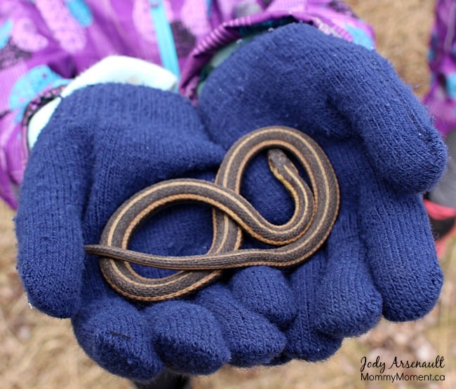 child-holding-snake