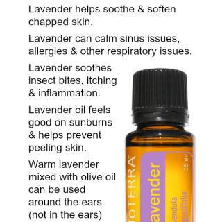 Lavender Essential Oil Printable