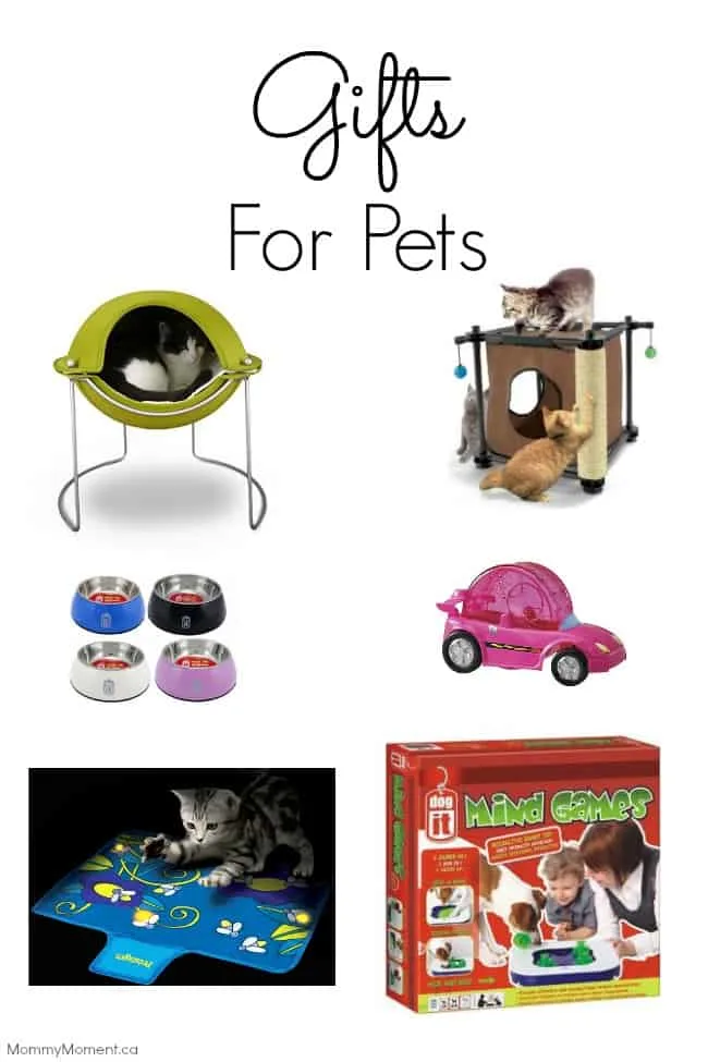 Gifts for Pets