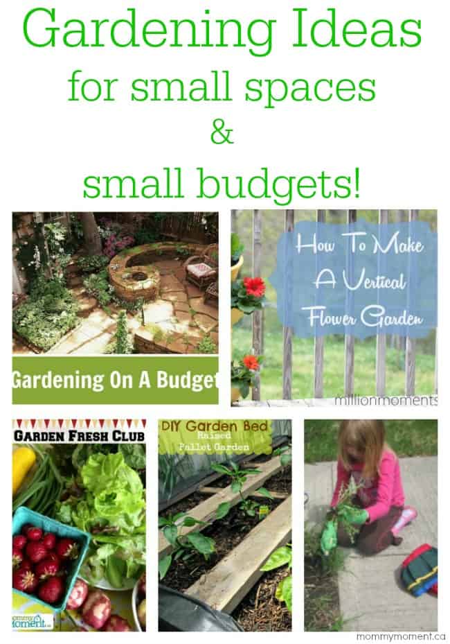 Gardening Ideas for small spaces and small budgets