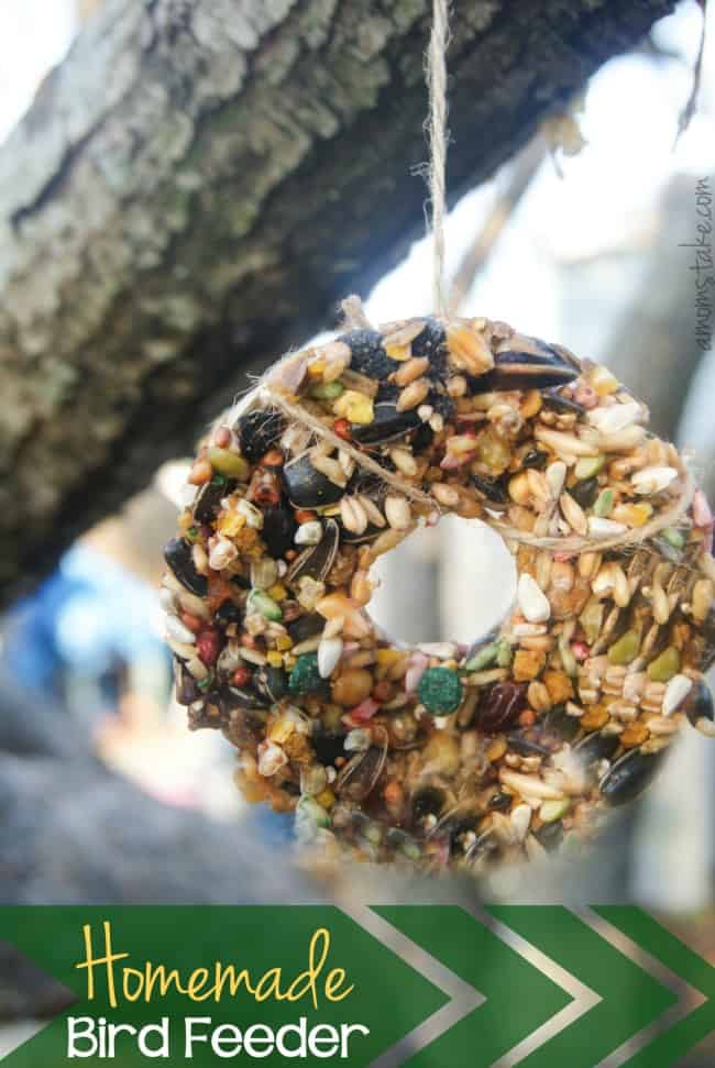 Homemade-Bird-Feeder