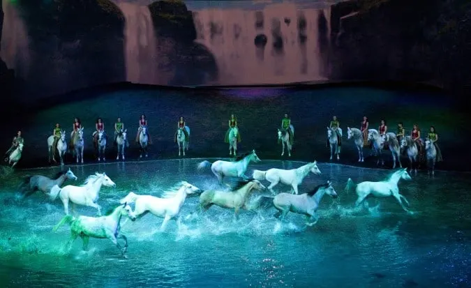 odysseo horses