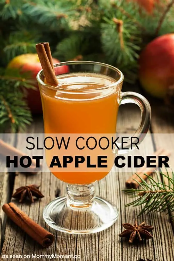 slow-cooker-hot-apple-cider-recipe