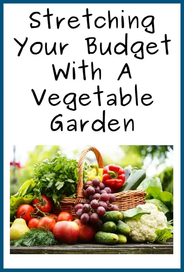 Week-11-Stretching-Your-Budget-With-A-Vegetable-Garden
