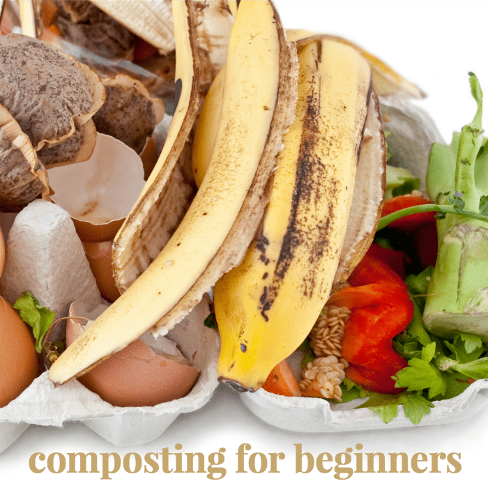 composting tips for beginners