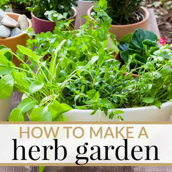 Whether you want to grow a herb garden in your yard or in the house, here are some tips on HOW TO MAKE YOUR OWN HERB GARDEN!