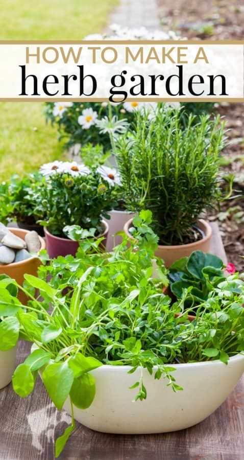 HOW TO MAKE YOUR OWN HERB GARDEN - Mommy Moment