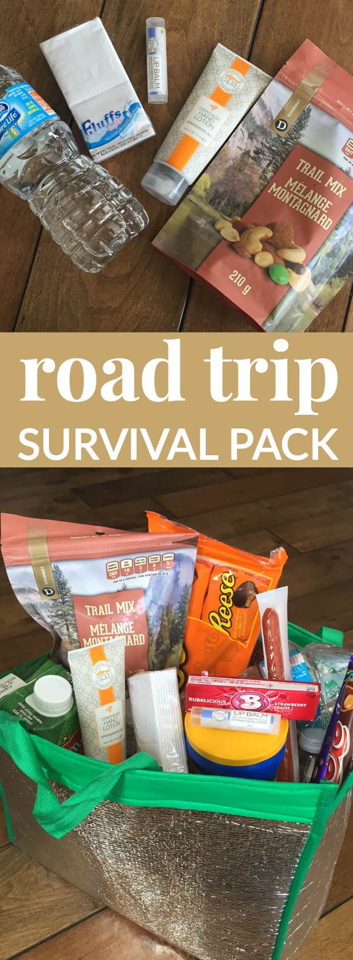 road-trip-survival-pack