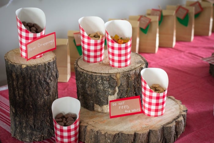CAMPING THEMED BIRTHDAY PARTY