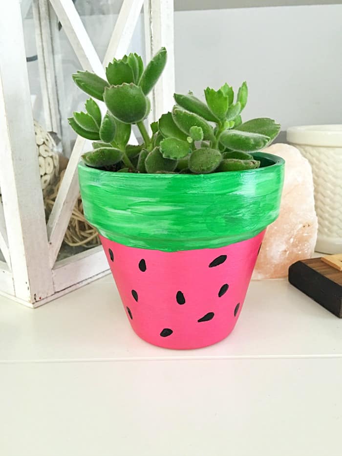 These adorable DIY HAND PAINTED WATERMELON FLOWER POTS are a cute addition to any indoor or outdoor garden space!