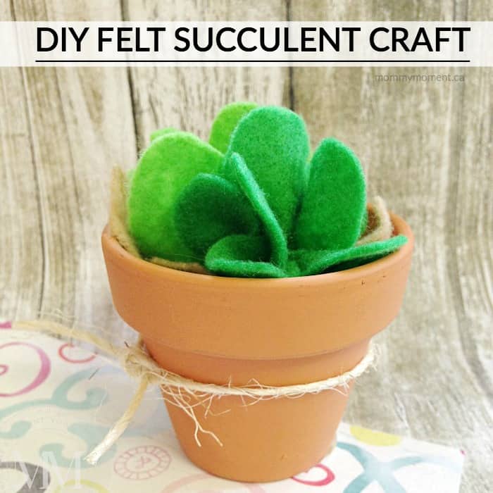 DIY felt succulent in clay pot 