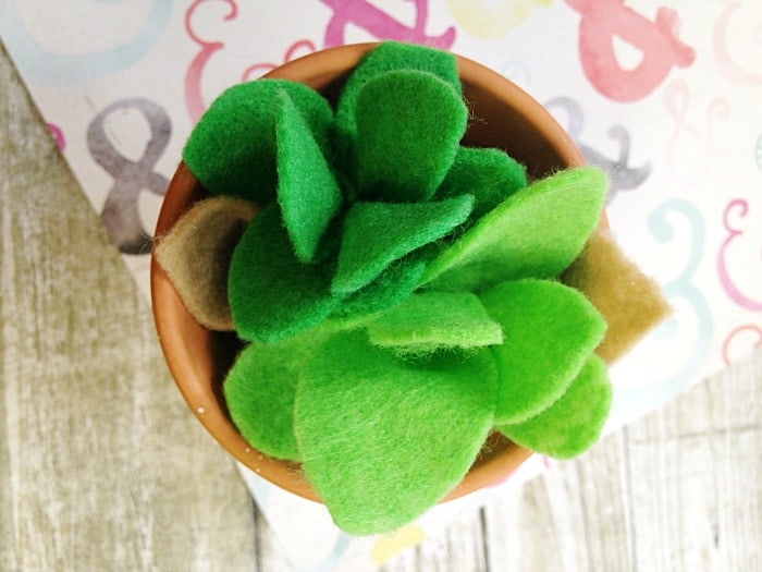 This DIY FELT SUCCULENTS CRAFT will add life to your home and is a great craft for kids.