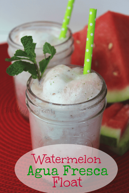 Watermelon-Agua-Fresca-Float-Recipe