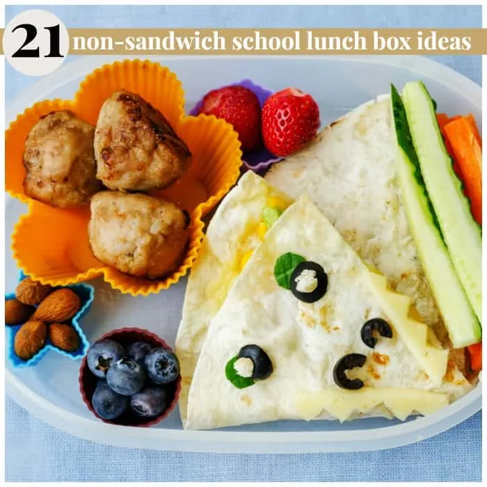 lunch ideas for school 