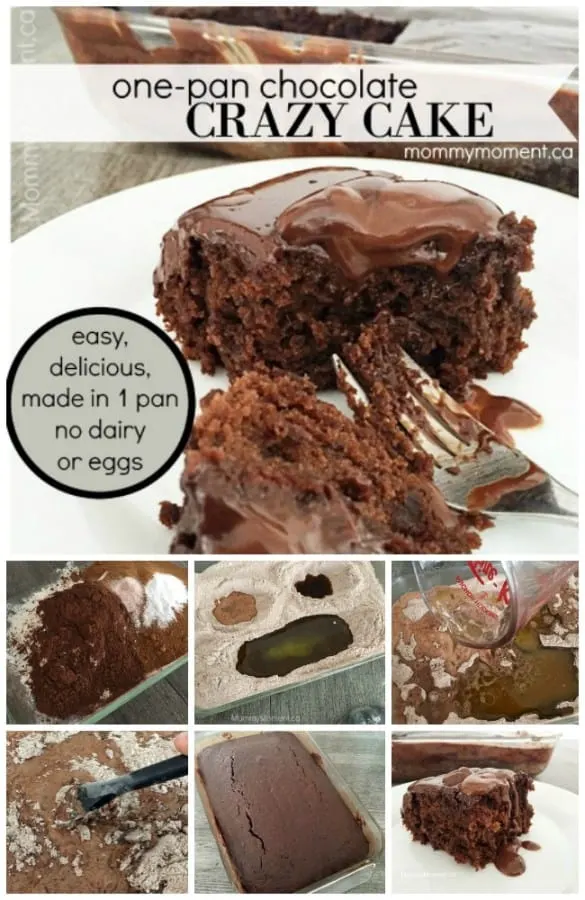 EASY ONE PAN CHOCOLATE CRAZY CAKE