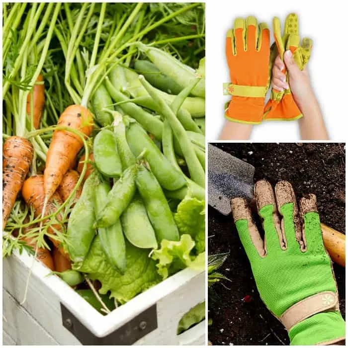 Gardening gloves for beginners