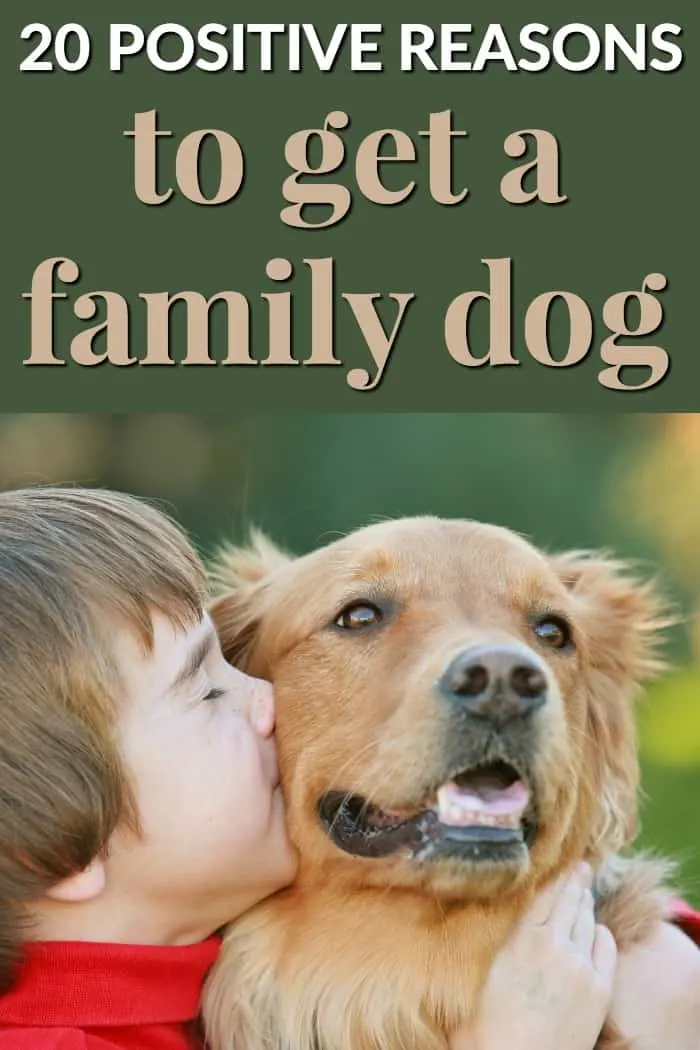 20 Positive Reasons to Get a Family Dog